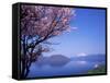 Cherry Blossoms and Lake Toyah-null-Framed Stretched Canvas