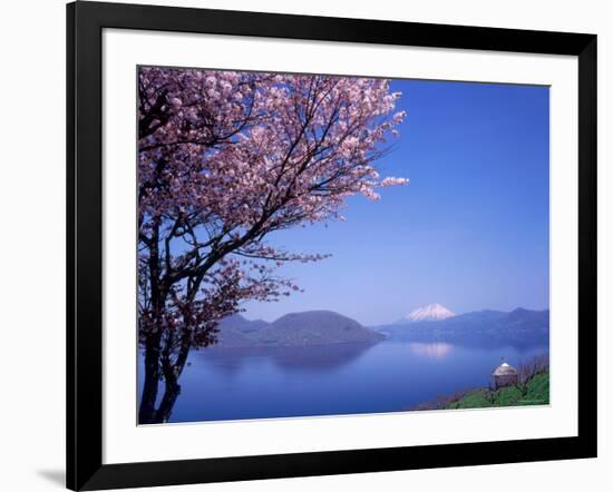 Cherry Blossoms and Lake Toyah-null-Framed Photographic Print