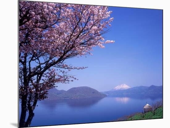 Cherry Blossoms and Lake Toyah-null-Mounted Photographic Print