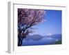 Cherry Blossoms and Lake Toyah-null-Framed Photographic Print