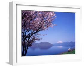 Cherry Blossoms and Lake Toyah-null-Framed Photographic Print