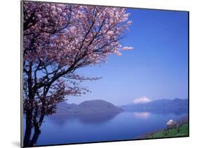 Cherry Blossoms and Lake Toyah-null-Mounted Photographic Print