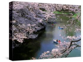 Cherry Blossoms and Moat-null-Stretched Canvas