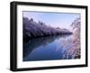 Cherry Blossoms and Moat-null-Framed Photographic Print