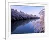 Cherry Blossoms and Moat-null-Framed Photographic Print