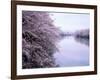 Cherry Blossoms and Moat-null-Framed Photographic Print