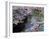 Cherry Blossoms and Moat-null-Framed Photographic Print