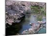 Cherry Blossoms and Moat-null-Mounted Photographic Print