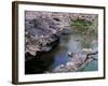 Cherry Blossoms and Moat-null-Framed Photographic Print