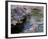 Cherry Blossoms and Moat-null-Framed Photographic Print