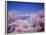 Cherry Blossoms and Mountains-null-Framed Photographic Print