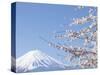 Cherry blossoms and Mt. Fuji, Japan-null-Stretched Canvas