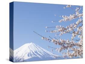 Cherry blossoms and Mt. Fuji, Japan-null-Stretched Canvas