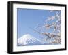 Cherry blossoms and Mt. Fuji, Japan-null-Framed Premium Photographic Print