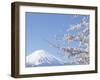 Cherry blossoms and Mt. Fuji, Japan-null-Framed Photographic Print