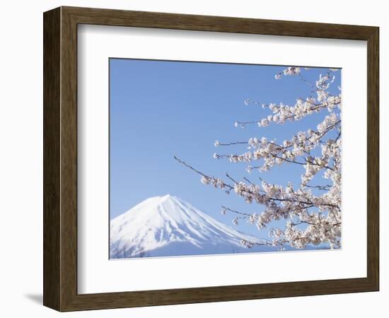 Cherry blossoms and Mt. Fuji, Japan-null-Framed Photographic Print