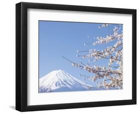 Cherry blossoms and Mt. Fuji, Japan-null-Framed Photographic Print