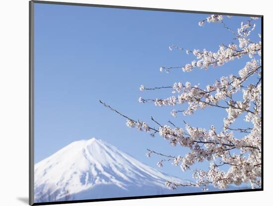 Cherry blossoms and Mt. Fuji, Japan-null-Mounted Photographic Print