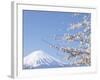 Cherry blossoms and Mt. Fuji, Japan-null-Framed Photographic Print