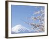 Cherry blossoms and Mt. Fuji, Japan-null-Framed Photographic Print