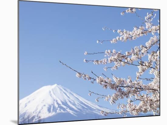 Cherry blossoms and Mt. Fuji, Japan-null-Mounted Photographic Print