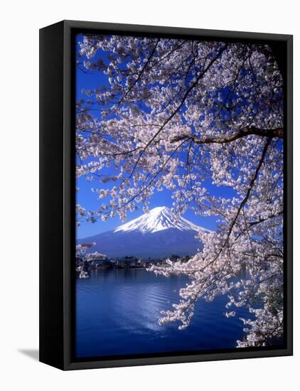 Cherry Blossoms and Mt. Fuji-null-Framed Stretched Canvas