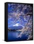 Cherry Blossoms and Mt. Fuji-null-Framed Stretched Canvas