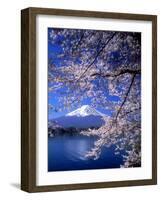 Cherry Blossoms and Mt. Fuji-null-Framed Premium Photographic Print