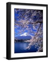 Cherry Blossoms and Mt. Fuji-null-Framed Premium Photographic Print