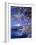 Cherry Blossoms and Mt. Fuji-null-Framed Premium Photographic Print