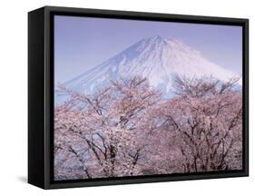 Cherry Blossoms and Mt. Fuji-null-Framed Stretched Canvas