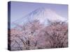 Cherry Blossoms and Mt. Fuji-null-Stretched Canvas