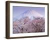 Cherry Blossoms and Mt. Fuji-null-Framed Premium Photographic Print