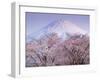 Cherry Blossoms and Mt. Fuji-null-Framed Premium Photographic Print