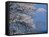 Cherry Blossoms and Mt. Fuji-null-Framed Stretched Canvas