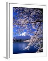 Cherry Blossoms and Mt. Fuji-null-Framed Photographic Print