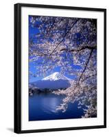 Cherry Blossoms and Mt. Fuji-null-Framed Photographic Print