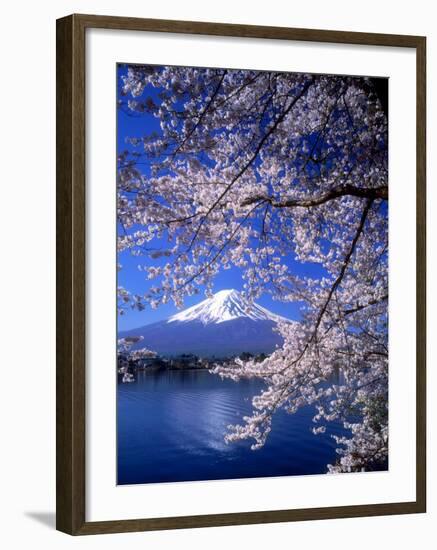 Cherry Blossoms and Mt. Fuji-null-Framed Photographic Print