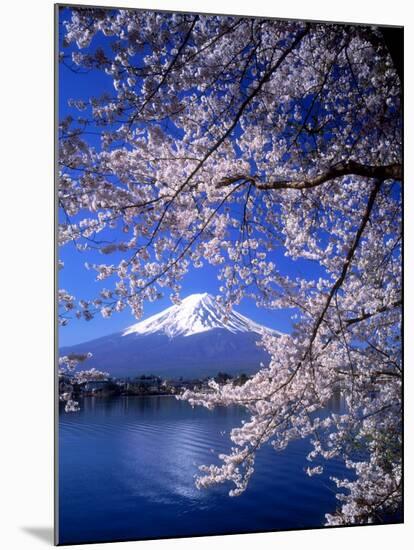 Cherry Blossoms and Mt. Fuji-null-Mounted Photographic Print