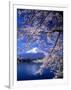 Cherry Blossoms and Mt. Fuji-null-Framed Photographic Print