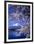 Cherry Blossoms and Mt. Fuji-null-Framed Photographic Print