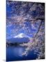 Cherry Blossoms and Mt. Fuji-null-Mounted Photographic Print