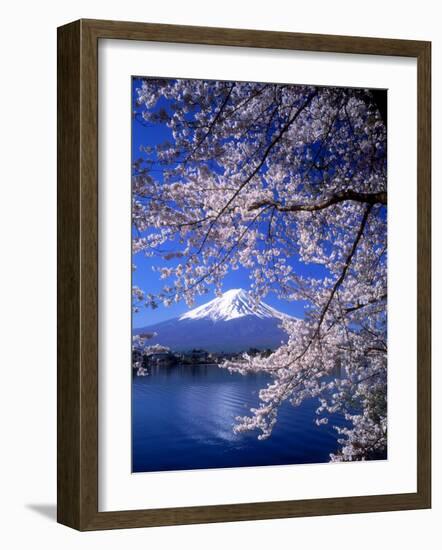 Cherry Blossoms and Mt. Fuji-null-Framed Photographic Print