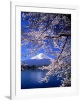 Cherry Blossoms and Mt. Fuji-null-Framed Photographic Print