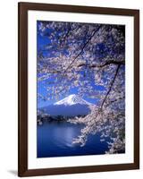 Cherry Blossoms and Mt. Fuji-null-Framed Photographic Print