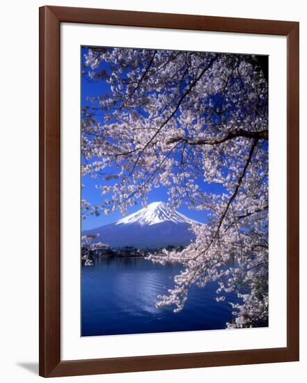 Cherry Blossoms and Mt. Fuji-null-Framed Photographic Print