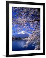 Cherry Blossoms and Mt. Fuji-null-Framed Photographic Print