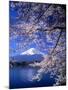 Cherry Blossoms and Mt. Fuji-null-Mounted Photographic Print