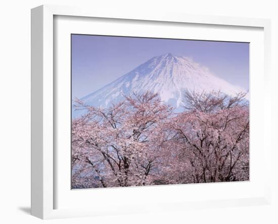 Cherry Blossoms and Mt. Fuji-null-Framed Photographic Print