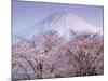 Cherry Blossoms and Mt. Fuji-null-Mounted Photographic Print